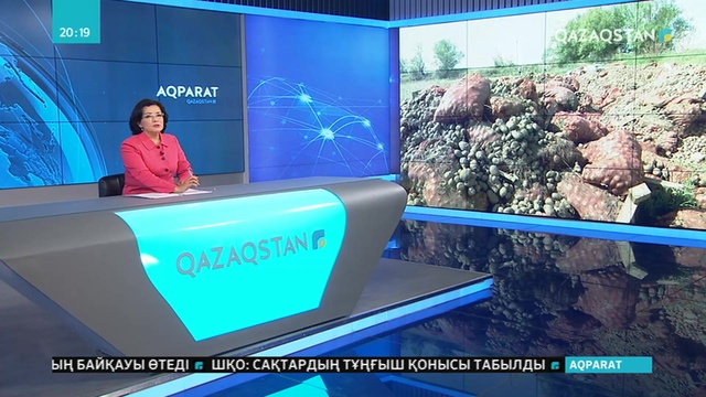 Тонналап картоп төккен