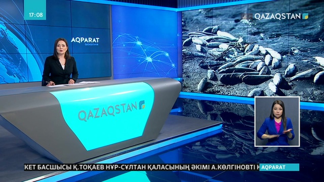 Елімізде балық шаруашылығына ерекше көңіл бөлінбек