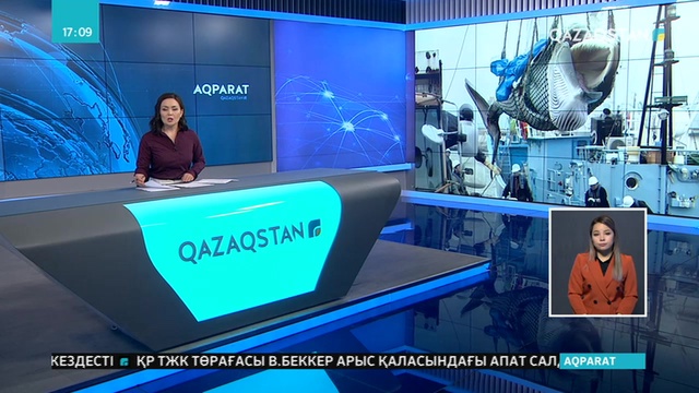 Жапонияда 31 жылдан бері алғаш рет киттерді коммерциялық мақсатта аулауға рұқсат берілді