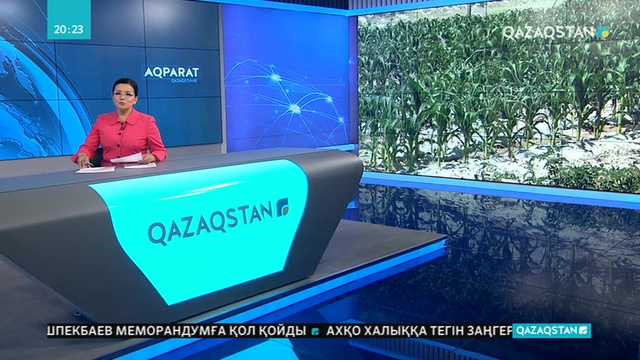 Бейнеу ауданында  шаруалар  алғаш рет  алқапқа дән екті