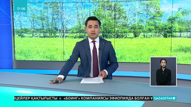 Павлодарда көгалдандыру және ағаш егу жұмыстары тек қана эколог мамандардың кеңесімен жүргізілетін болады