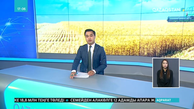Жетісулық диқандар егін ору науқанын бастап кетті
