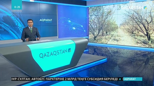 Арыс іргесіндегі Ақдала ауылының күтіп- баптап отырған алма бағы жарылыс кезінде жанып кеткен