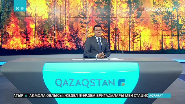 Португалияда 3000 га орманның жанып кетуіне күдікті адам ұсталды