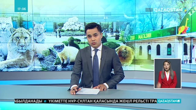 Алматы хайуанаттар бағының ұжымы жануарлардың қорғаушыларын сотқа берді