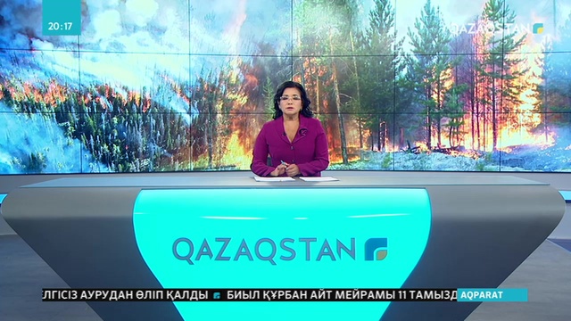 Сібірдегі орман өрті шарпыған аумақ 3 миллион гектарға жетті