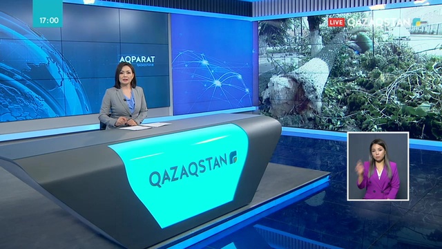 Батыс Қазақстандағы дауылдан келген шығын өтеледі