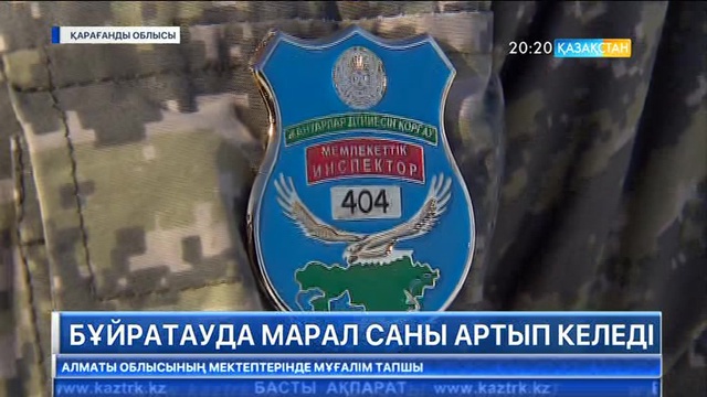 «Бұйратауда» марал саны артып келеді