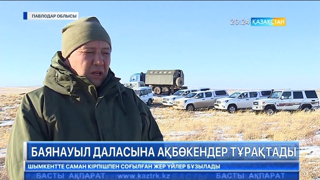Баянауыл даласына ақбөкендер тұрақтады