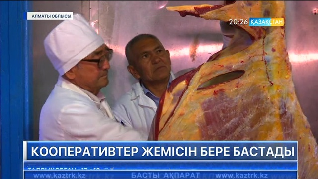 Алматы облысында құрылған кооперативтер өз жемісін бере бастады