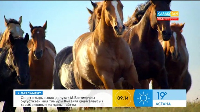 Таңғы ақпаратты-сазды бағдарлама (26.05.2017) (Толық нұсқа)