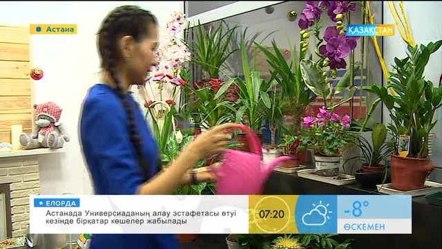 Бөлме гүлдерін қалай күту керек?