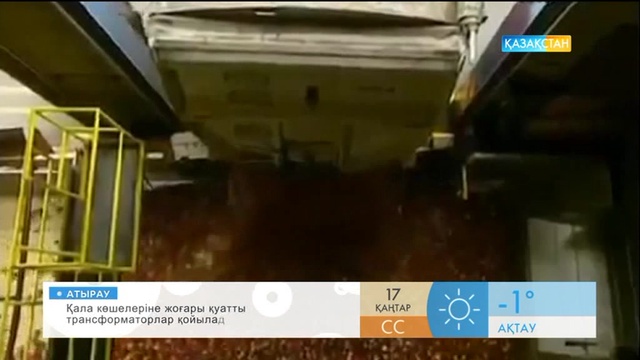 «Таңшолпан». Табиғи алма шырыны қалай дайындалады?