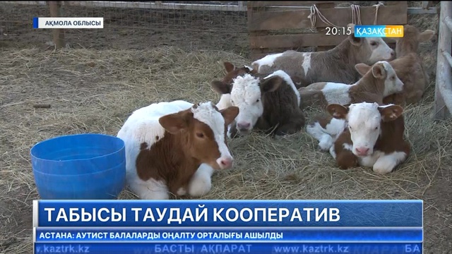 Ақмола облысында экологиялық кооператив ашылды