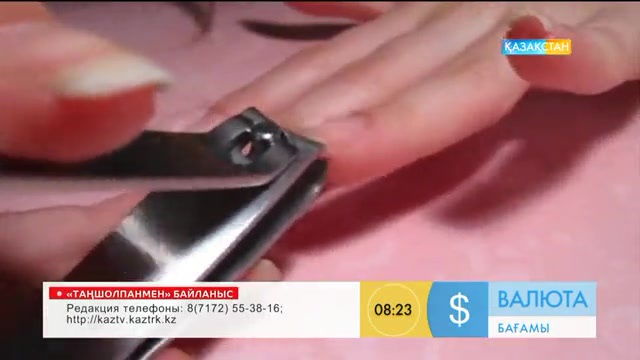 «Таңшолпан». Адам денесінде өмір сүретін микробтар