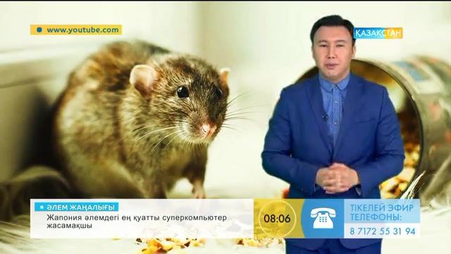 «Таңшолпан». Мейірімді жануарлар тобы