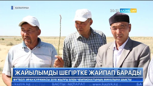 Қызылорда облысында төрт  ауылды  шегіртке басты