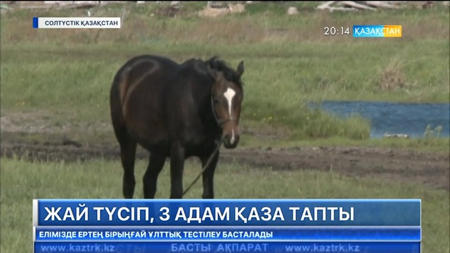 Солтүстік Қазақстан облысында жай отынан 3 адам қаза тапты