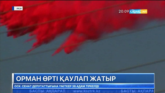 Калифорнияның оңтүстігін өрт шарпыды