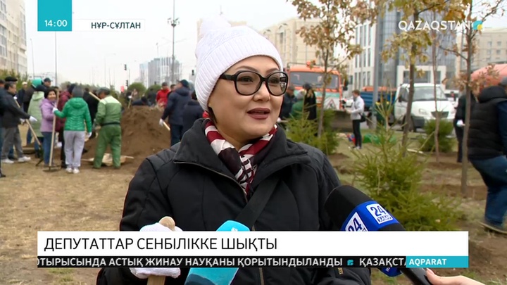 Сенат депутаттары сенбілікке шықты