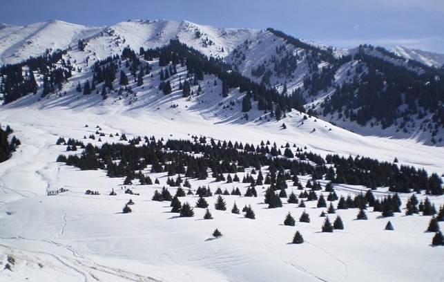 БҰҰ Көкжайлау жобасына тыйым салу туралы шешімді қолдады