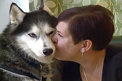 Обырды сезген ит иесін аман алып қалды