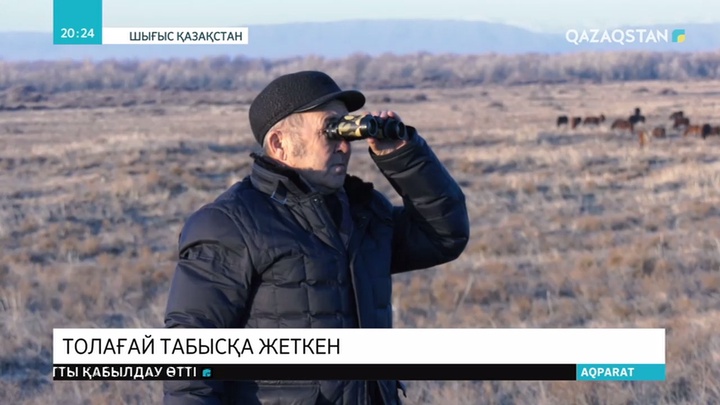 70-тен асқан қария кәсібінің нәсібін көріп отыр