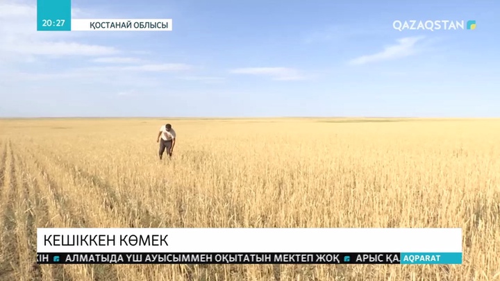Құрғақшылықтан зардап шеккен Қостанайдың диқандары Үкіметтен бөлінетін субсидияны ала алмай отыр
