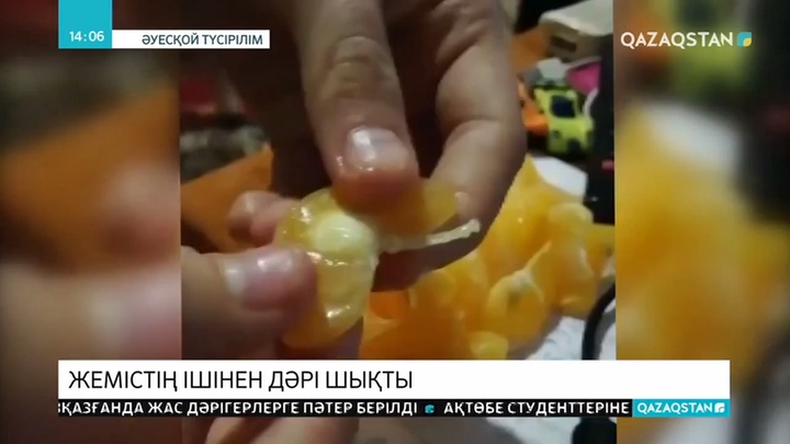 Солтүстік Қазақстан облысында жемістің ішінен дәріге ұқсас заттар табылды