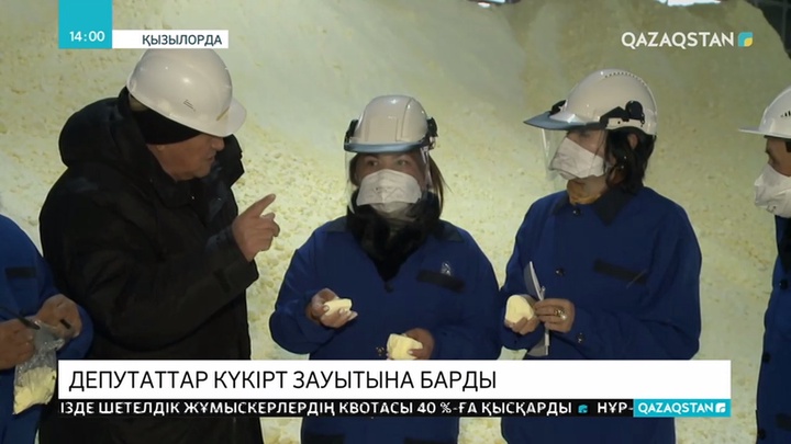 Мәжіліс депутаттары күкірт қышқылы зауытына барды
