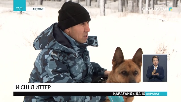 Ақтөбе облысында мал ұрлығы тиылмай тұр