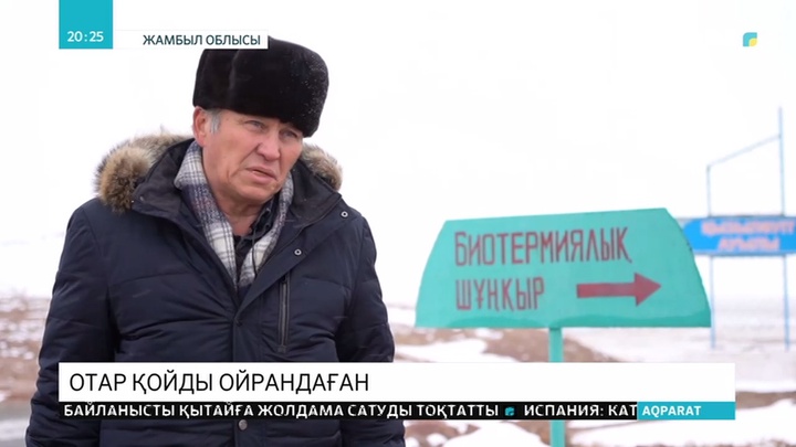 Қызыләуіт ауылында 200-ден астам қойды бір түнде қасқыр қырып кетті