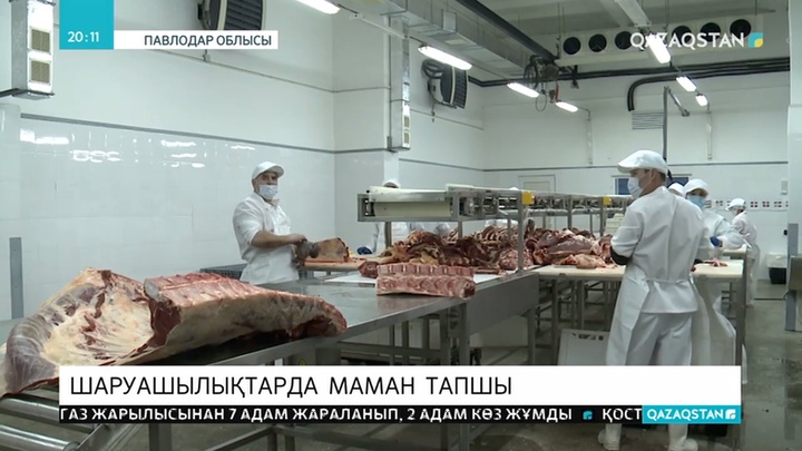 Павлодар өңірінің ауыл шаруашылығы саласында маман тапшы