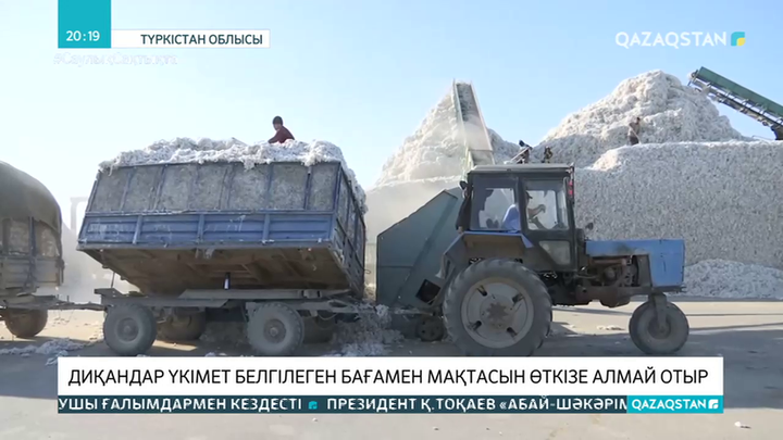 Диқандар Үкімет белгілеген бағамен мақтасын өткізе алмай отыр