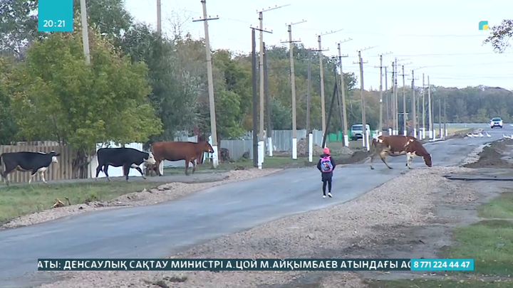 Ауылдықтар жалақының аздығынан баспана ала алмай жүр