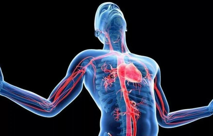 Бұған дейін беймәлім болған адам ағзасы анықталды - ғалымдар жаңалығы