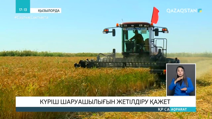 Күріш шаруашылығын жетілдіру қажет - «Ауыл» партиясы