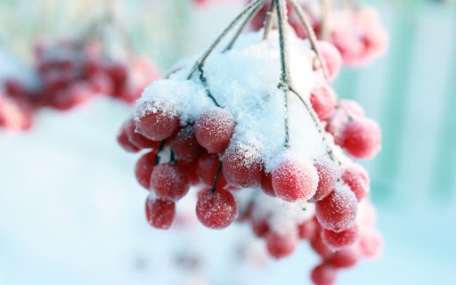 Демалыс күндері Қазақстанда 18 градусқа дейін аяз болады