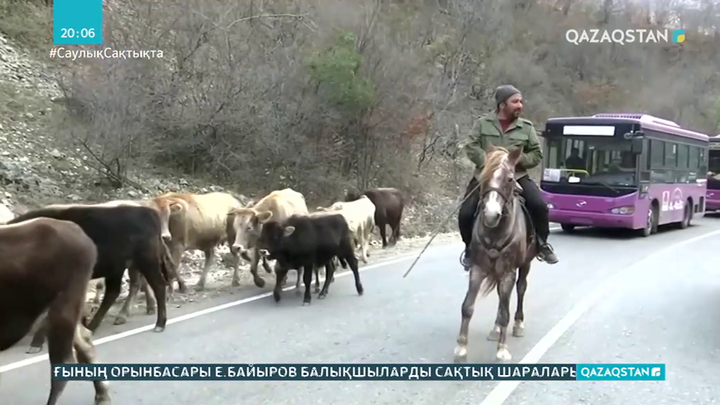 Баку Кельбаджар ауданын қарашаның 25-де бақылауға алады