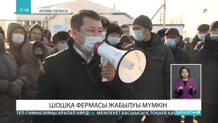 Ақтөбедегі шошқа фермасы жабылуы мүмкін