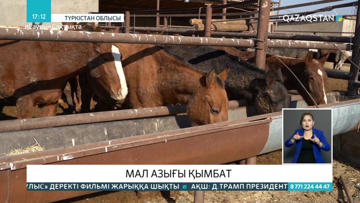 Мал азығы қымбат