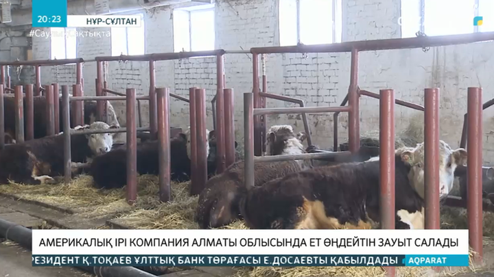 Америкалық ірі компания Алматы облысында ет өңдейтін зауыт салады