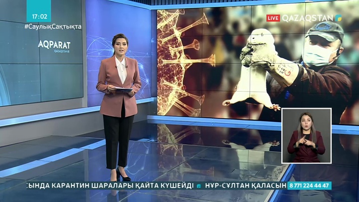 Данияда коронавирус мутациясына байланысты 17 млн қаракүзеннің көзі жойылады