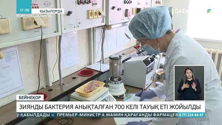 Ресейден әкелінген тауық етінен қауіпті бактериялар табылды