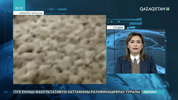 Ұйғыр ауданындағы құс фабрикасында 40 мыңнан аса тауық қырылып қалды