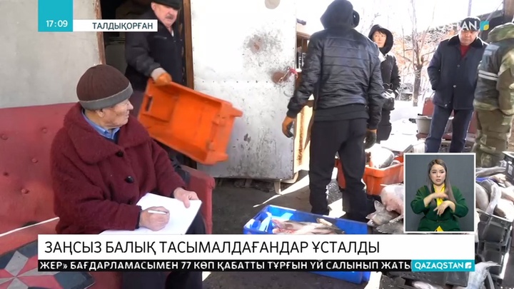 Заңсыз балық тасымалдаушылар қолға түсті