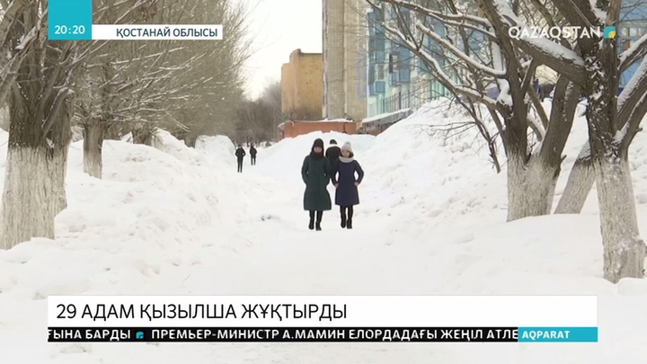 Арқалықта 26 студенттен қызылша анықталды