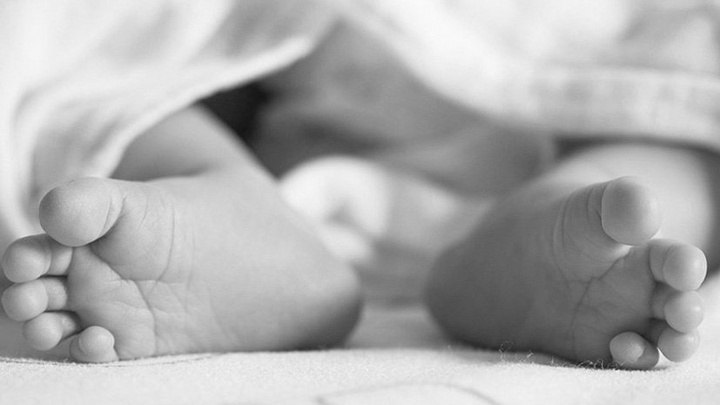 СҚО-да пакеттен шақалақтың денесі табылды