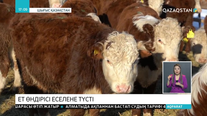 ШҚО-да ет өндірісі артты