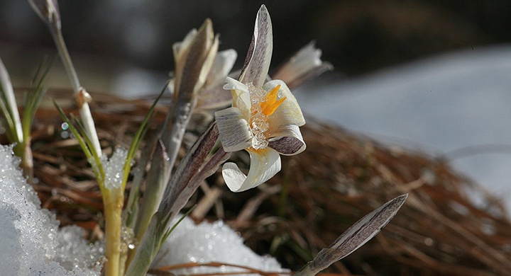 Мереке күндері ауа райы қандай болады?
